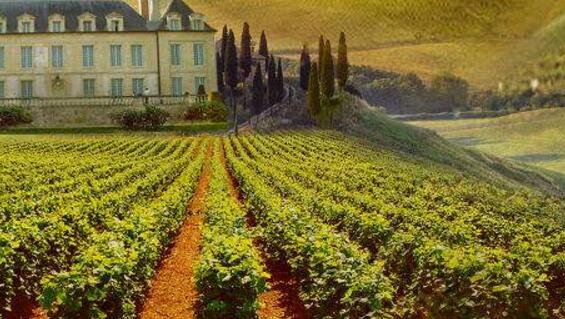 葤„酒招商广告中的波尔多产区 2.jpg
